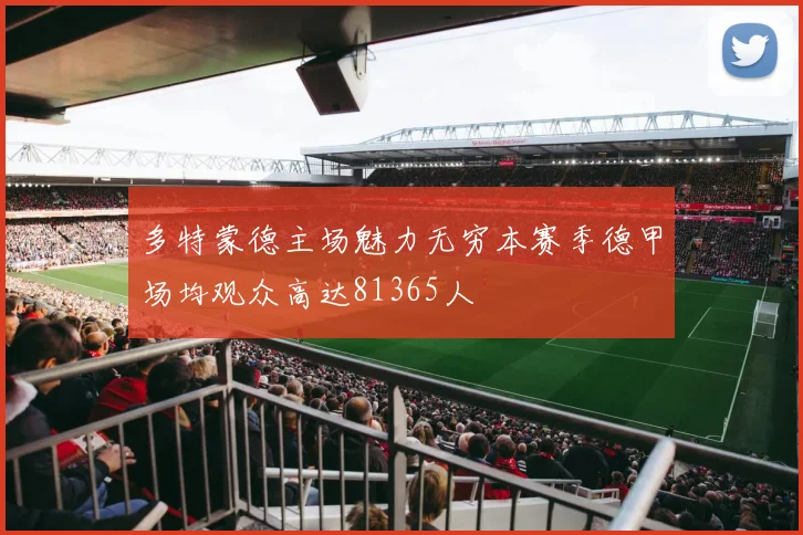 多特蒙德主场魅力无穷本赛季德甲场均观众高达81365人