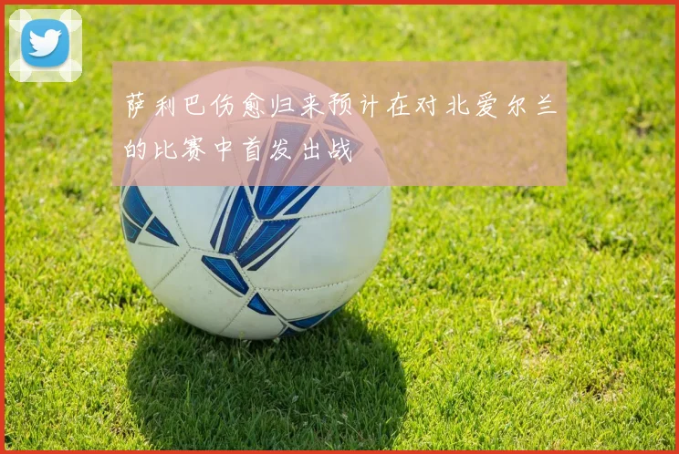 萨利巴伤愈归来预计在对北爱尔兰的比赛中首发出战